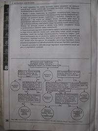 Polonez gle 1.6, brak iskry