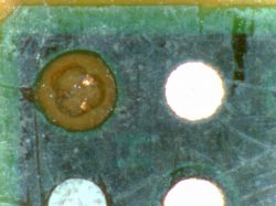 Which budget microscope for an electronics technician? What does the Mustool G700 offer? Image galle
