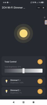 Tuya app screen “2CH Wi‑Fi Dimmer” with brightness slider and two dimmer controls