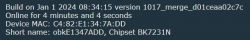 IoT device information with MAC address and software version.