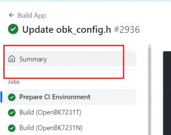 GitHub Actions Build Process Screenshot Screenshot of the GitHub Actions build process with the Summary section highlighted.