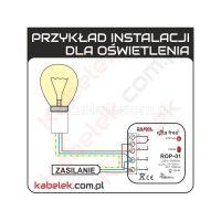 Sterowanie kinkietem i lampą sufitową na 2-żyłowej instalacji - jak to zrobić?
