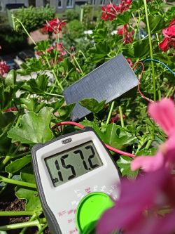 Panel solarny i multimetr w ogrodzie z kwiatami