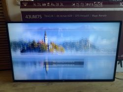 LG 43UK6400PLF - Obraz znika po wymianie płyty głównej