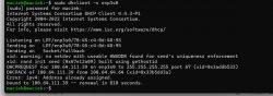 Zrzut ekranu przedstawiający terminal z wynikami polecenia DHCP klienta.