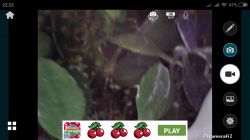 Endoskop USB ze sklepiku elektrody - prezentacja