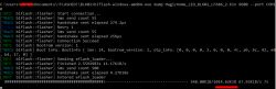 Windows console showing the result of a blflash command with data dump progress.