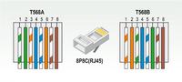 Berker LAN Socket Connection: Steps for Properly Connecting Wires with Knife Clamps & Insulation