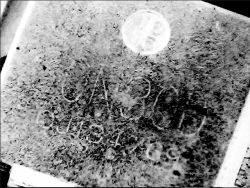 Close-up of a circuit chip with partially scraped-off markings.