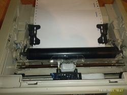 Wnętrze drukarki igłowej OKI 3320 z załadowanym papierem ciągłym, widok mechanizmu drukującego.