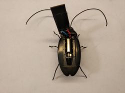 Słoneczny karaluch - Solar Robot Kit - dlaczego popularny? - Test / Recenzja Słoneczny karaluch - Solar Robot Kit - dlaczego popularny? - Test / Recenzja