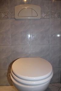 Wall cistern - concealed - the cistern is leaking - how to remove the button - p
