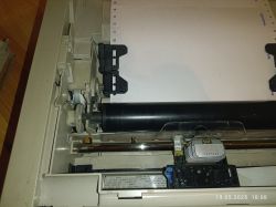 Widok wnętrza drukarki OKI 3320 z zamontowanym papierem ciągłym i widocznymi elementami mechanicznymi.