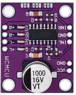 Purple audio amplifier PCB with IC, 1000µF 16V capacitor, IN pads, and L/R speaker output terminals