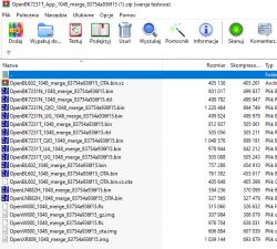 Screenshot of a ZIP archive with several binary files and their size information.