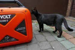 Cat and AIVOLT Inverter Generator A black cat sniffing an orange AIVOLT SC2300i-0 inverter generator.