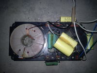 Tonsil Menuet 200 - cewka, zwrotnica