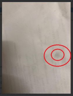Widoczna plamka na jasnym tle po wymianie aparatu w iPhone X