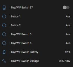 Screen displaying status of various switches and battery information.