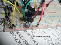 ATMEGA88P-20PU - Budowa swojego USBASP - nie rozpoznano urzadzenia USB