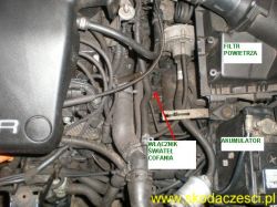 Lokalizacja czujnika cofania w Skodzie Fabii - dostępność