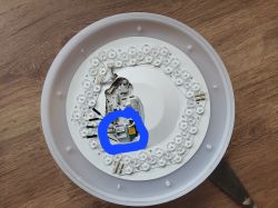 Disassembled LED lamp with highlighted electronic module in the center