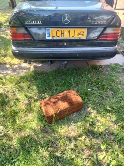 Tył samochodu marki Mercedes 250D na trawie