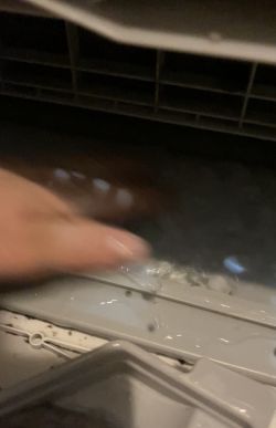 Bosch WTX87K40PL dryer - Wet lint and water accumulation at the bottom of the device