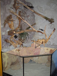 Zautomatyzowana komora dla roślin