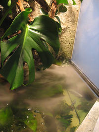 Zautomatyzowana komora dla roślin