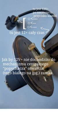 Zbliżenie na zamek samochodowy z opisanym napięciem 12V+ na przewodach
