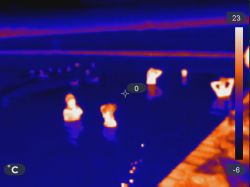 W czym może nam pomóc kamera termowizyjna?