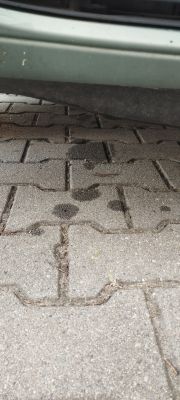 Wymiana uszczelniacza wału Ford Focus 1.8 TDDi - czy rozpinać rozrząd, koszt, DIY