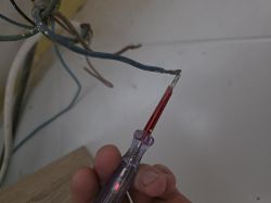 Próbnik napięcia świeci przy niebieskim przewodzie w luźnej wiązce odsłoniętych kabli.