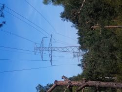 Jakie to serie słupów linii 110 kV i 220 kV? Gdzie znaleźć katalog konstrukcji?