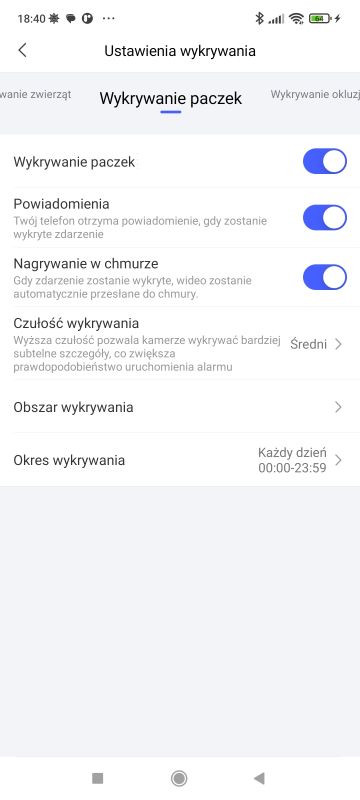 Ekran ustawień wykrywania paczek w aplikacji monitoringu z aktywnymi opcjami.
