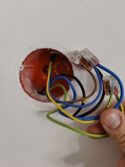 Electrical wires in a wall mounting box, shown up close.