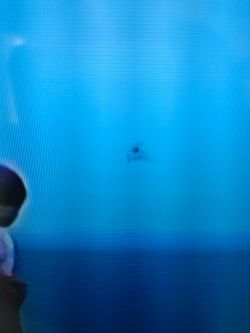 Czarny punkt z rozchodzącymi się liniami na niebieskim tle ekranu telewizora