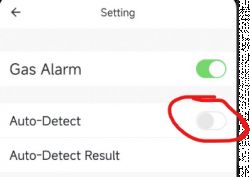 Screenshot of gas alarm settings with Auto-Detect switch highlighted in red.