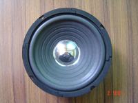 Cóż to za głośnik? YD165-6R70B