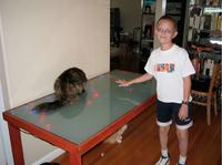 Stół z podświetleniem LED do jadalni.