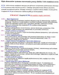 Polonez Caro - check engine - wysokie spalanie